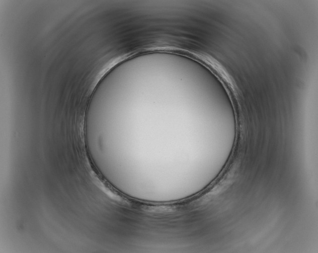 X0000111351337200907100927