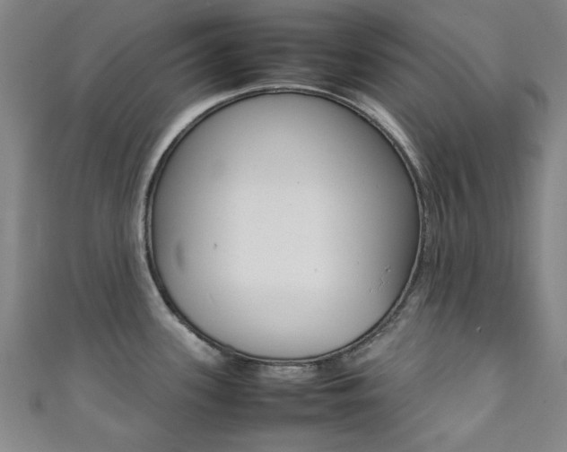 X0000111351339200907100927