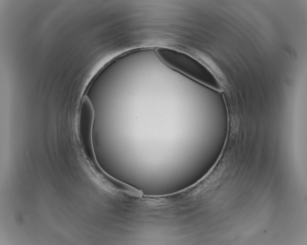 X0000111351340200907100927