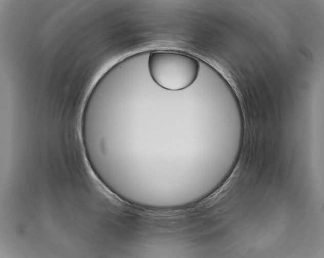 X0000111351342200907100927
