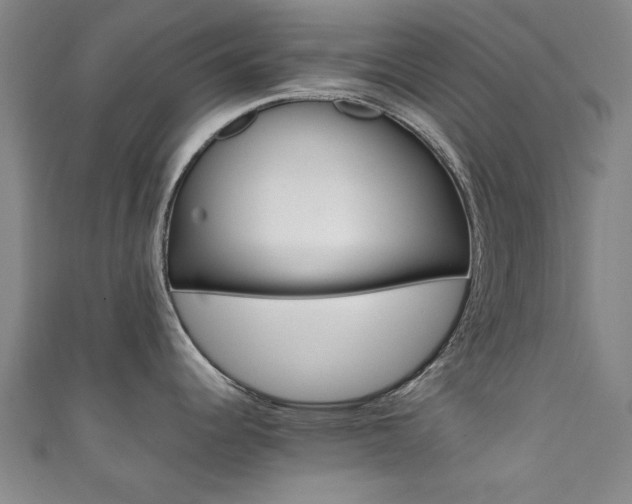 X0000111351344200907100927
