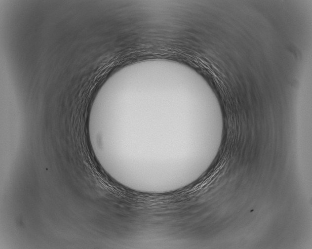X0000111351345200907100926