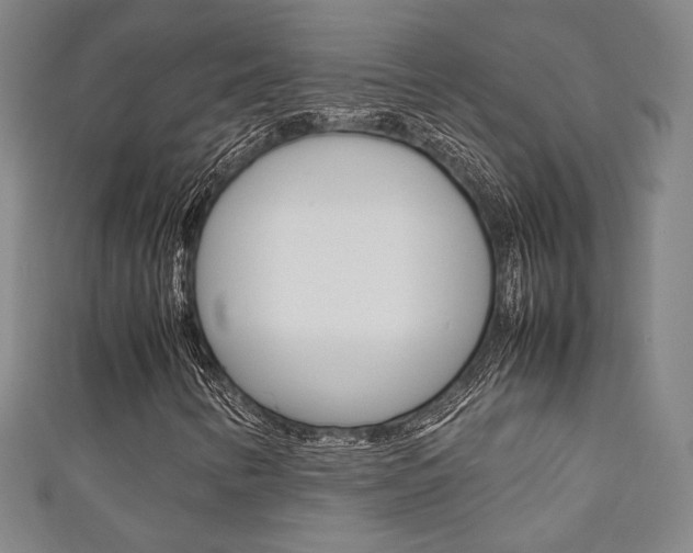 X0000111351346200907100926