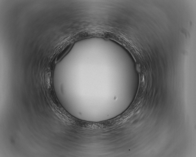 X0000111351348200907100926