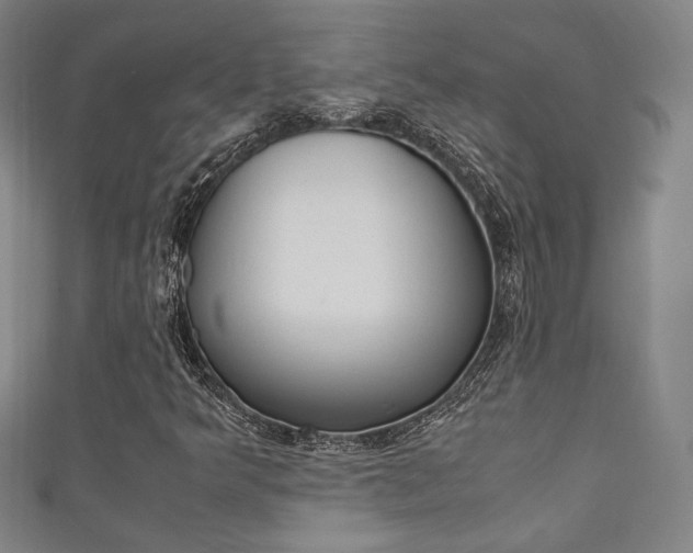X0000111351349200907100926