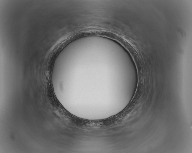 X0000111351351200907100926