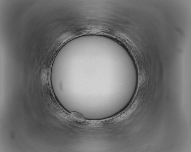 X0000111351353200907100926