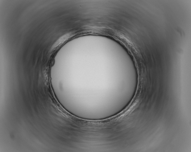 X0000111351354200907100926