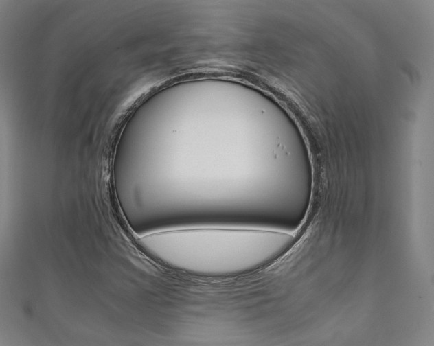 X0000111351355200907100926