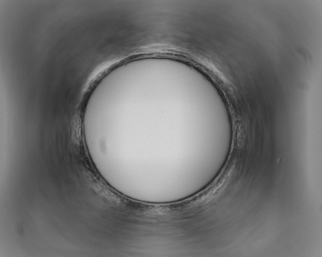 X0000111351358200907100926
