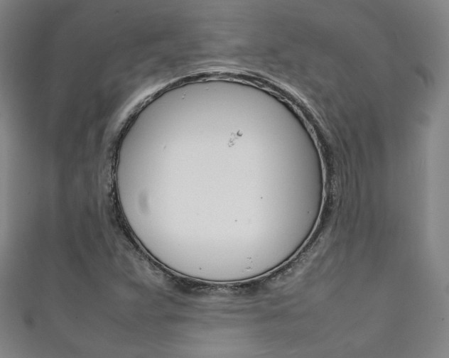 X0000111351359200907100926