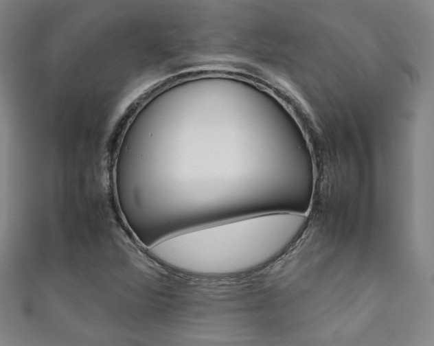 X0000111351360200907100926