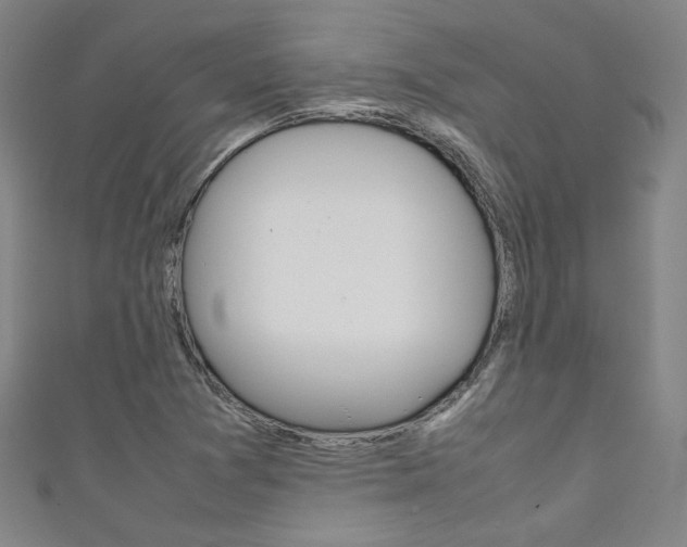 X0000111351361200907100926