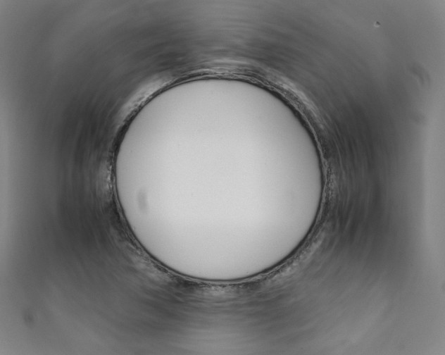 X0000111351362200907100926