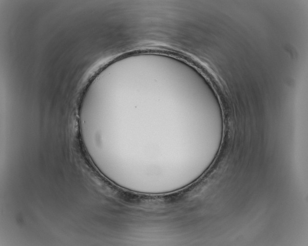 X0000111351363200907100926