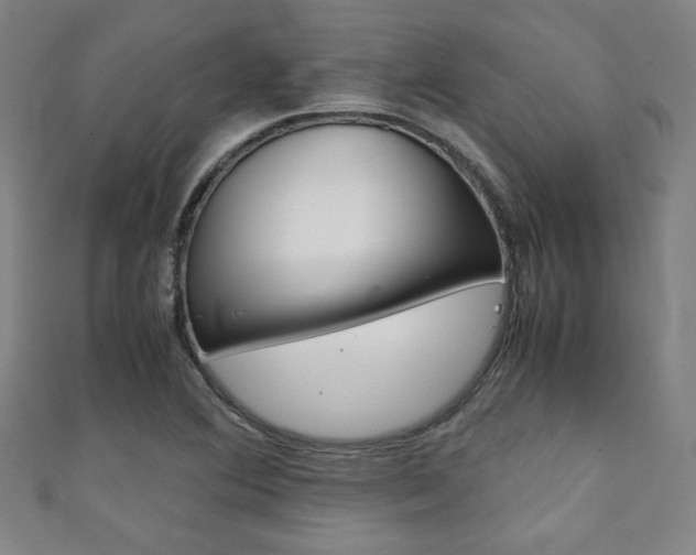 X0000111351364200907100926