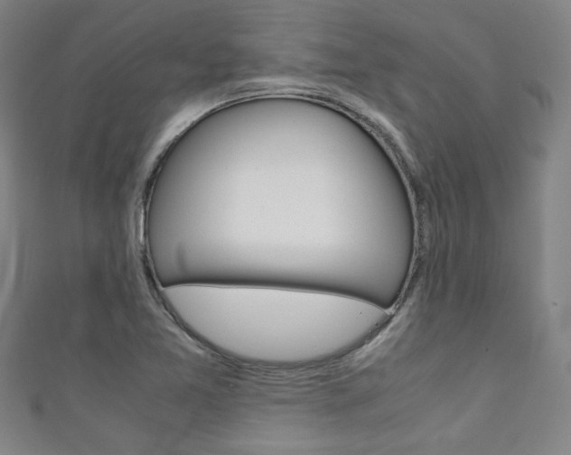 X0000111351365200907100926