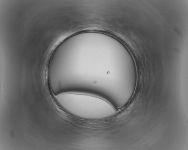 X0000111351367200907100926