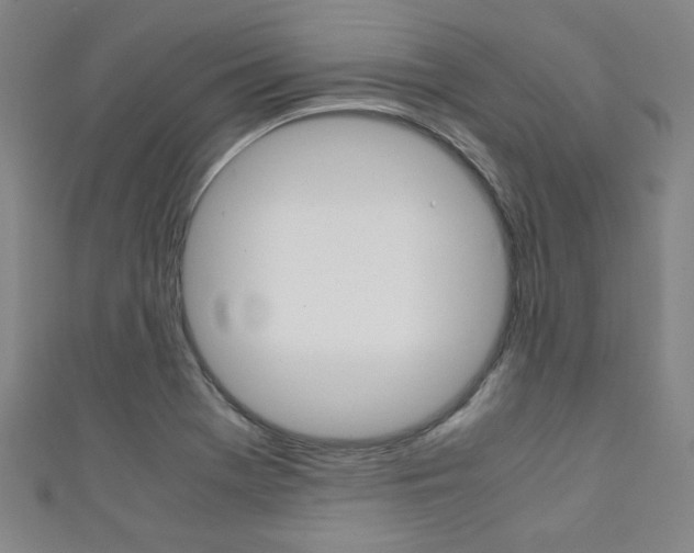 X0000111351369200907100926