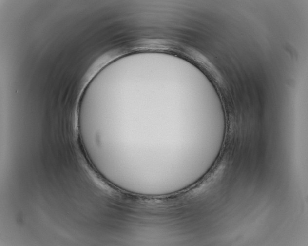 X0000111351370200907100926