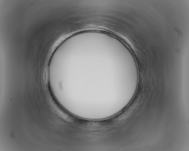 X0000111351371200907100926