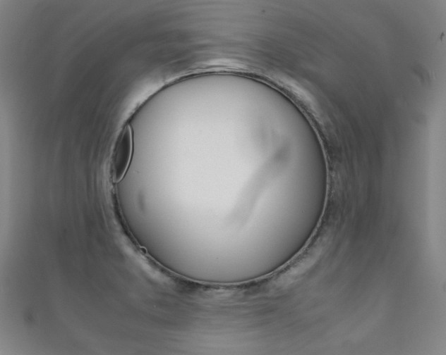 X0000111351373200907100926