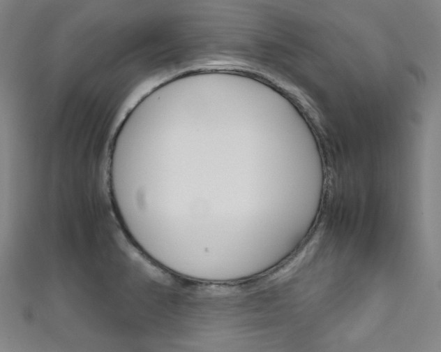 X0000111351374200907100926