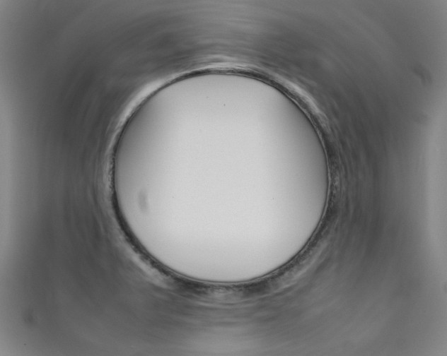 X0000111351375200907100926
