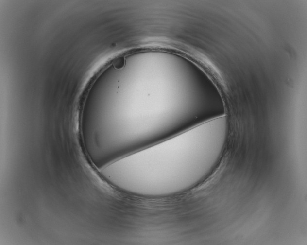 X0000111351376200907100926