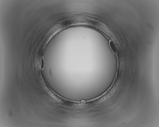 X0000111351377200907100926