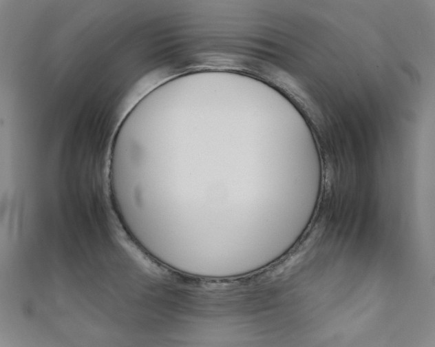 X0000111351378200907100926