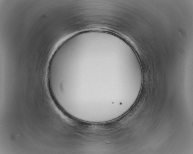 X0000111351379200907100926