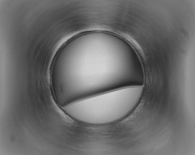 X0000111351380200907100926