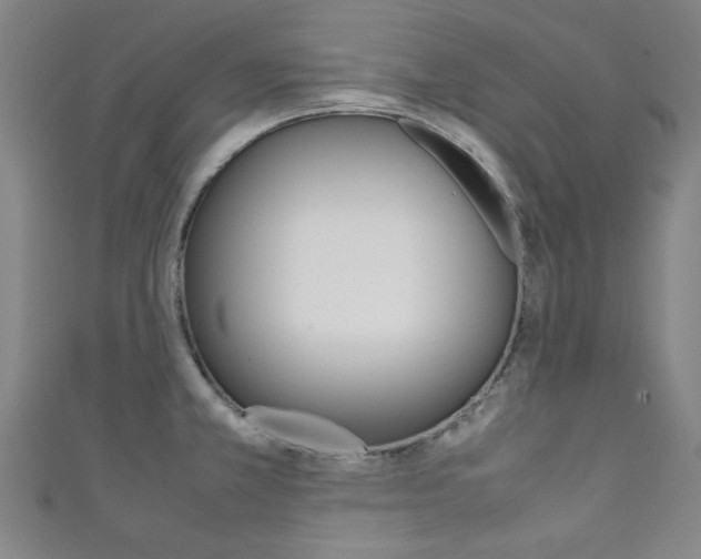 X0000111351381200907100926