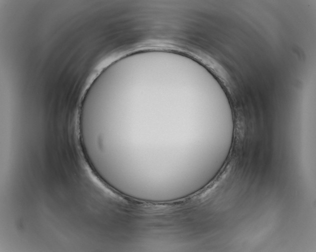 X0000111351382200907100926