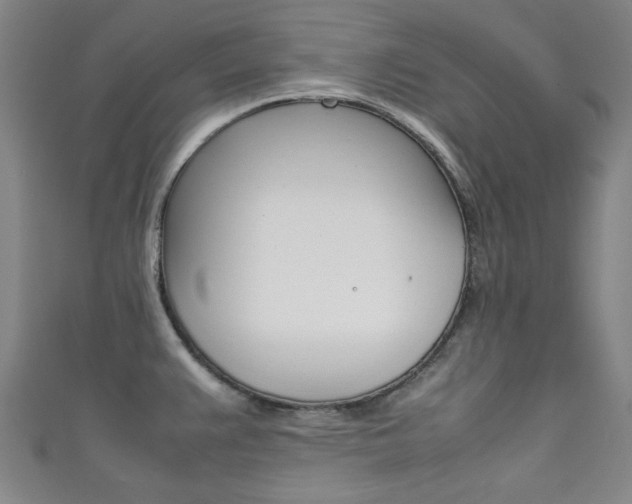 X0000111351383200907100926