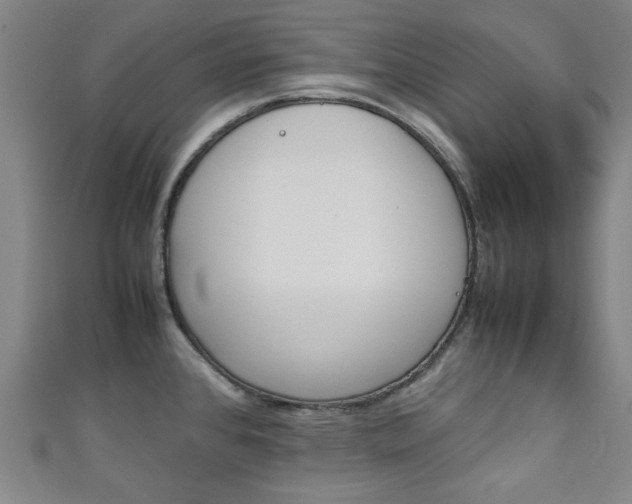 X0000111351384200907100926