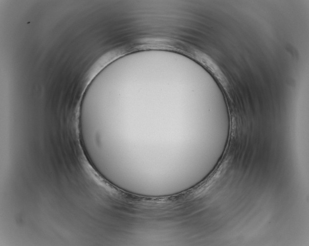 X0000111351386200907100926