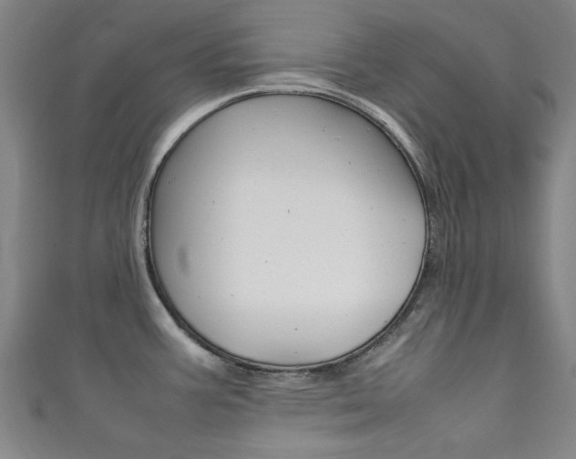 X0000111351387200907100926