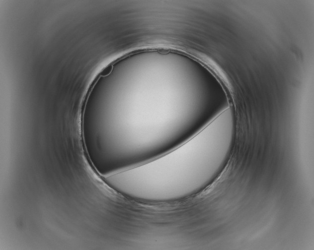 X0000111351388200907100926