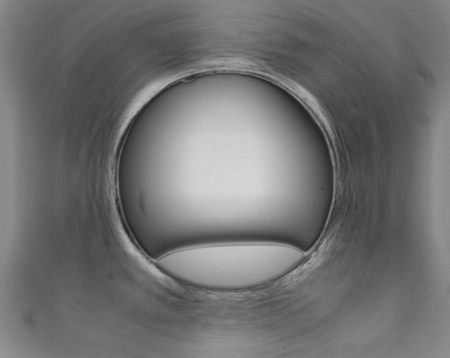X0000111351389200907100926