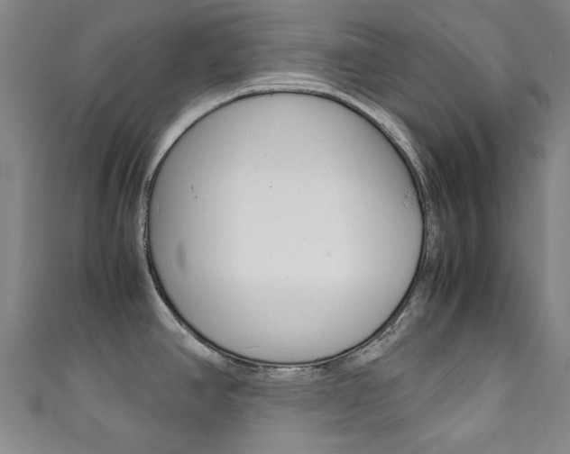 X0000111351390200907100926