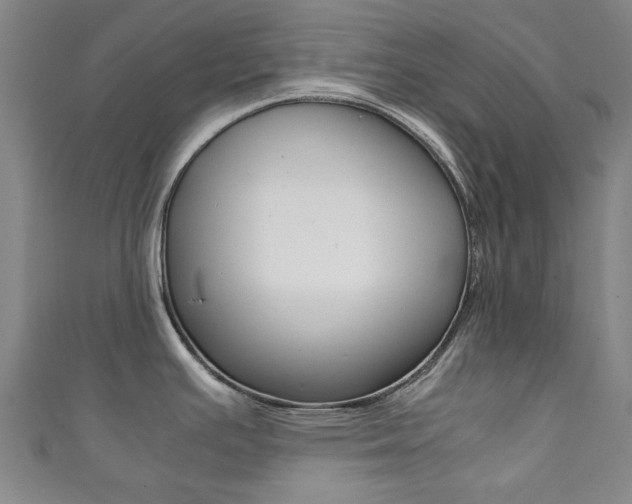X0000111351391200907100926
