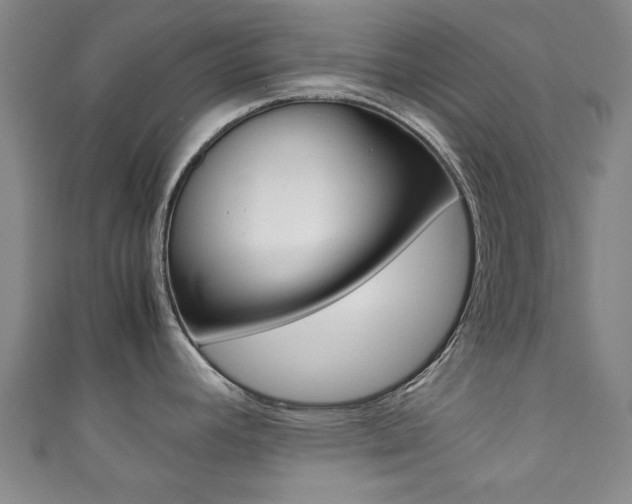 X0000111351392200907100926