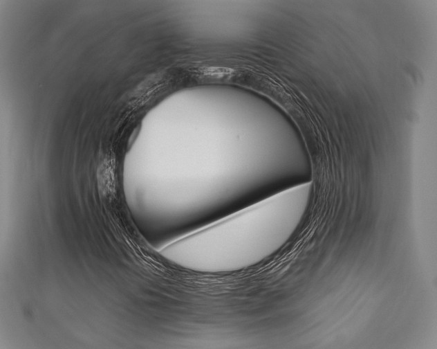 X0000111351394200907100925