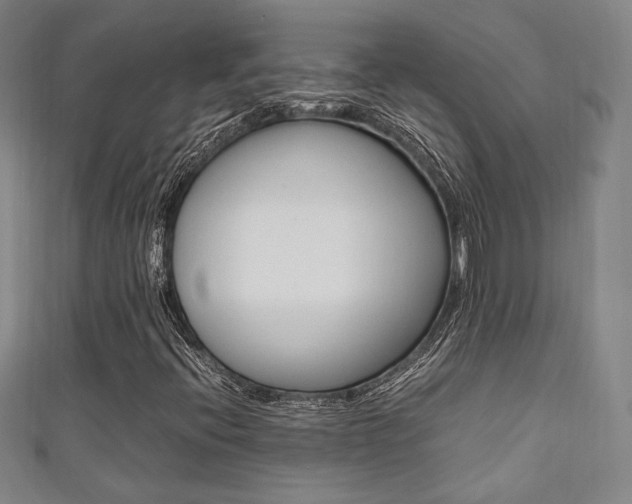 X0000111351396200907100925