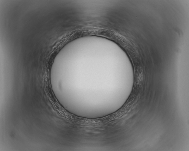 X0000111351397200907100925