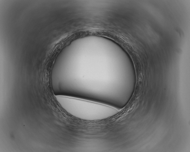 X0000111351398200907100925