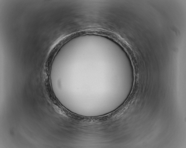 X0000111351400200907100925