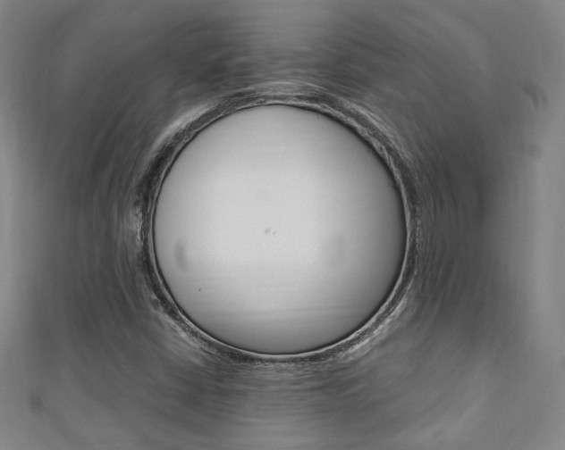 X0000111351402200907100925